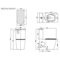 Load image into Gallery viewer, Arrow Sergio 669*384*805mm Dual Flush Wash-down Two-piece Ceramic Toilet Suite Soft Closed Seat