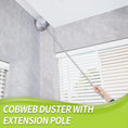 Load image into Gallery viewer, IVYROLL Extendable Duster Kit with 2 Duster Heads - Microfiber and Cobweb Duster
