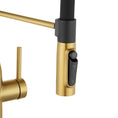 Load image into Gallery viewer, Magnetic Pull-Down Kitchen Mixer with Filter Connection - Brushed Brass Gold
