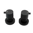 Load image into Gallery viewer, Brass Circle Wall Taps One Pair - Black