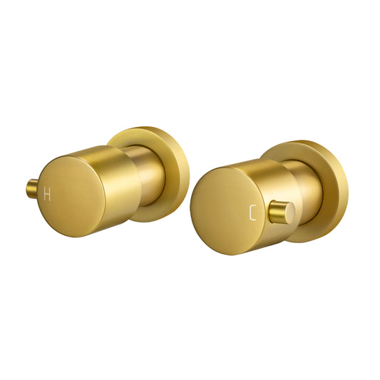 Brass Circle Wall Taps One Pair - Brush Bass Gold