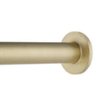 Load image into Gallery viewer, Stainless Steel Toilet Paper Holder- Light Brushed Brass Gold - LUCID PIN

