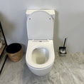 Load image into Gallery viewer, HANI Rimless Back-to-Wall Toilet Suite. Featuring hygienic rimless flushing, a soft-close seat, WELS 4 Star water efficiency and a 20-year warranty.-Toilet Suite-Ezymall AU
